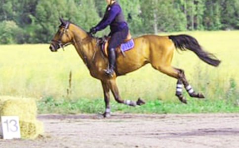 �ҵ��T�R������300��