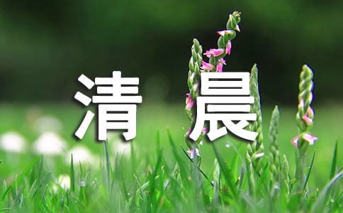 (優(yōu)秀)清晨的陽光唯美句子