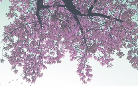 �L(f��ng)늈��＾��ȫ��z��Ŀ��Y(ji��)