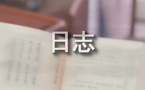 ��־��ʽ
