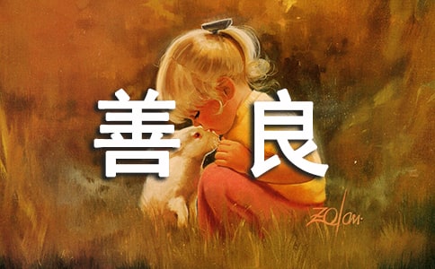 ��ɮ����������