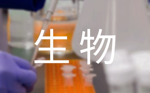 作為生物的社會(huì)閱讀理解答案