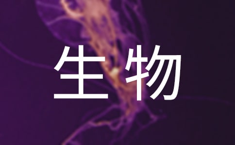 生物類實習報告范文錦集八篇