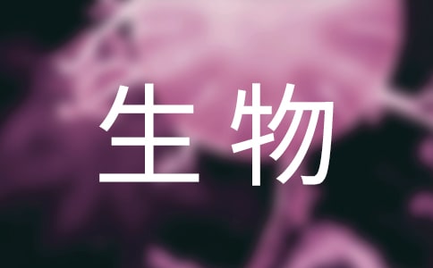 ��������̌W(xu��)�n��