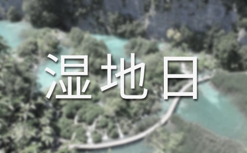 世界濕地日宣傳活動小結范文
