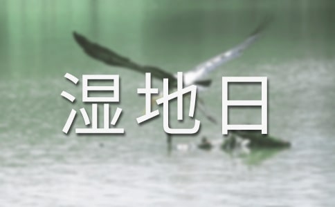 �������ջ�ӿ��Y