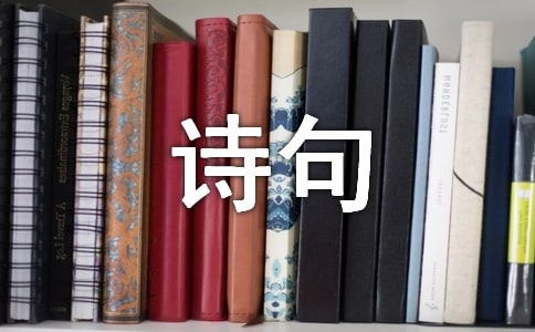 絕美的詩句大全