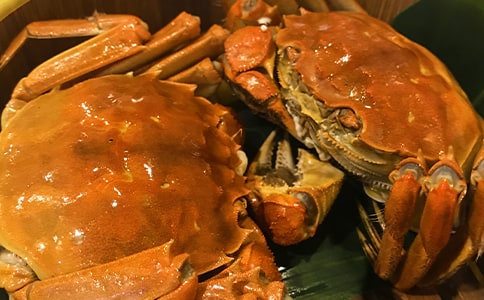我最喜歡的食物作文7篇