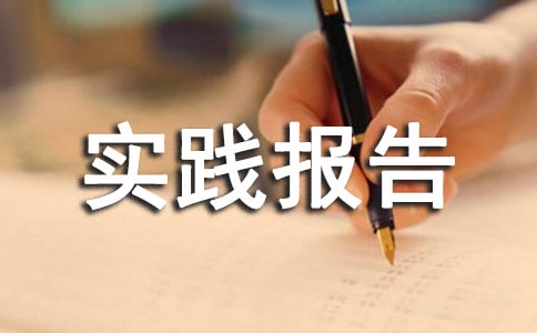 服務(wù)員社會實踐報告5篇