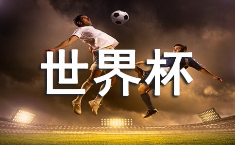 精彩世界杯作文
