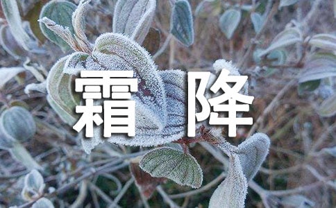 2022˪����(y��u)���İ�