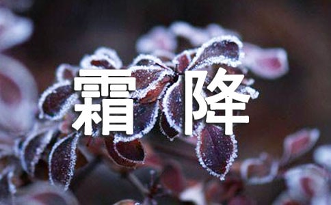 霜降文案(精選600句)