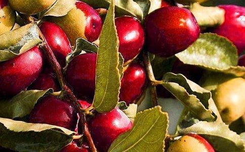 �l(f��)����ʲôˮ�����