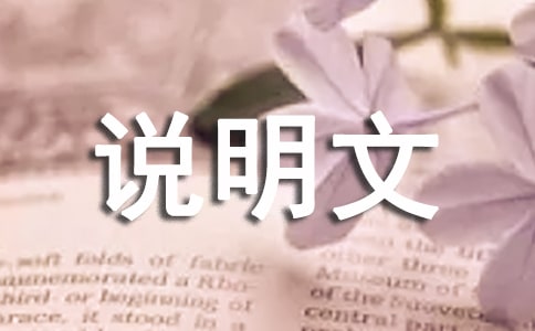 我的座右銘說明文