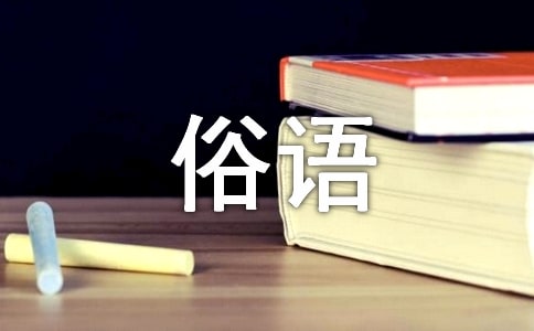 關于馬的俗語
