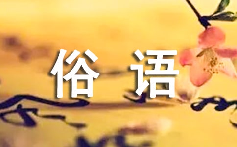 俗語(yǔ)集錦15篇(通用)