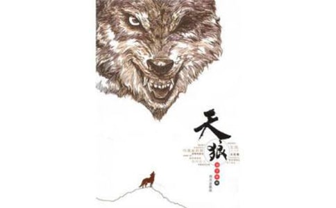 天狼讀后感