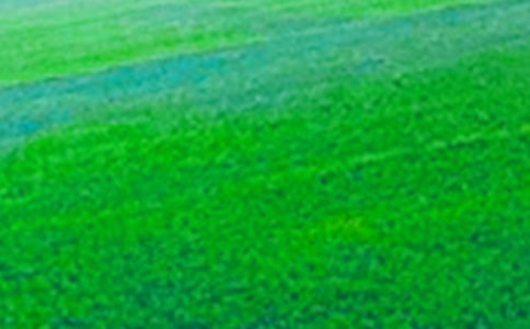 ��Ұ�ϵİװl ��x��