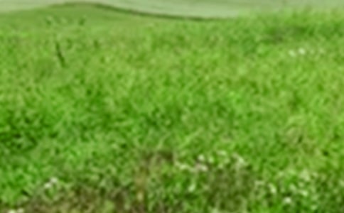 �ļ�����Ұ����(��(y��u)�x)