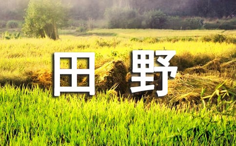 描寫田野的優(yōu)美句子