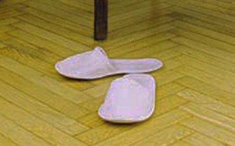 洗拖鞋作文