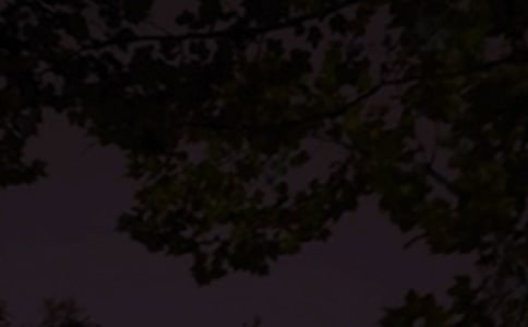 ���T(m��n)Ψ�������İ���ȫ��ͨ��175�䣩