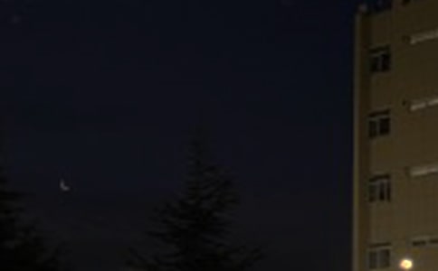 ���TΨ�������İ���ȫ105��