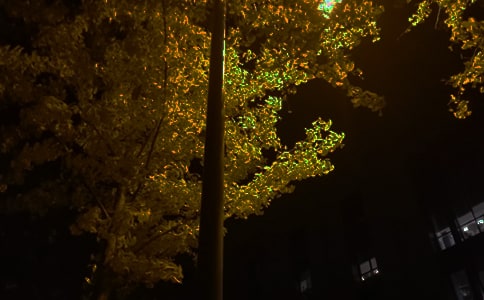 常用唯美晚安文案大全80句精選