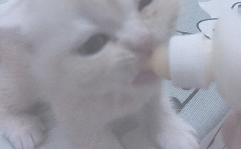 Ո�����֋�����νo����ι��