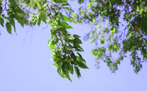 關(guān)于唯美午安文案(精選30句)