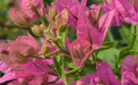 ��(j��ng)������Ȧ�簲ף���Z(y��)��ȫ50�侫�x