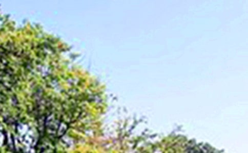 唯美的午安問候語摘錄66條