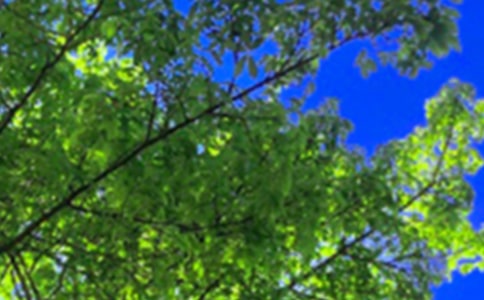 ��(j��ng)�������簲�İ������x70�䣩