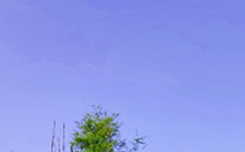 經(jīng)典朋友圈午安祝福語匯總(通用100句)