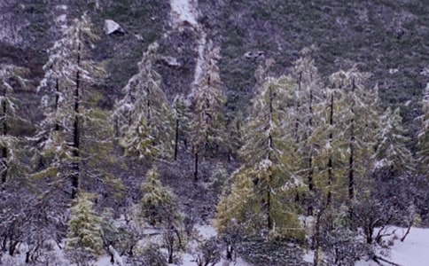 下雪經典的說說180句