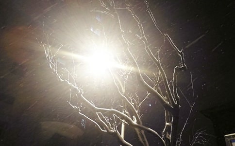 �茑��ѩ�ă�(y��u)������ժ�����\