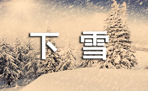 下雪了日記(通用19篇)