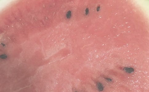夏日的西湖作文500字