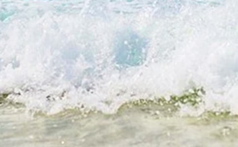 夏天的唯美文案