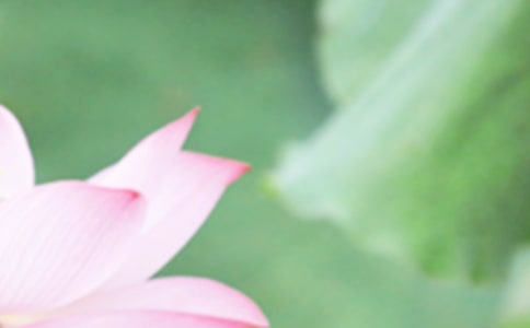 ����?x��)r��(ji��)��Ψ���İ���ȫ