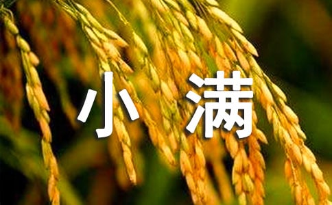2024年小滿節(jié)氣教案(精選6篇)