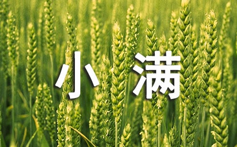 二十四節(jié)氣小滿古詩(shī)詞20首