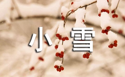 有關(guān)小雪節(jié)氣的詩詞(精選95首)
