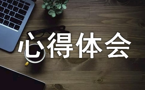 神舟十九號返回全程直播心得體會(精選10篇)