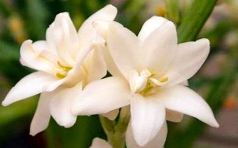 �����ϡ�ҹ��(l��i)������