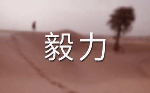 形容有毅力的成語有哪些