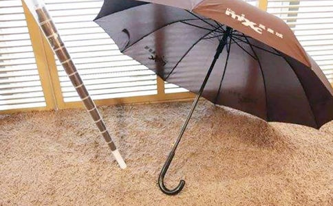 愛(ài)的雨傘作文共8篇