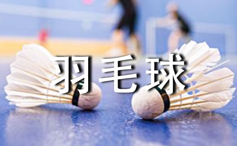 羽毛球比賽策劃書(shū)優(yōu)秀