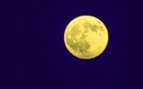 今夜月圓作文(精選53篇)