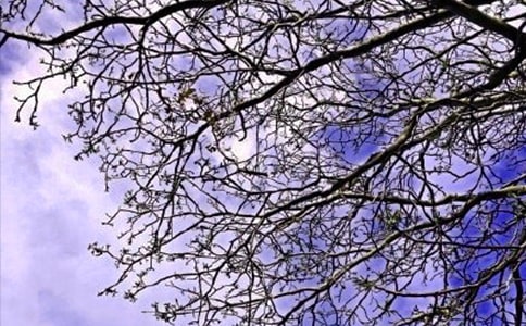 簡(jiǎn)單朋友圈早安祝福語(yǔ)(精選30句)